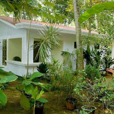 Jickys Nest Hotel Varkala Phòng bức ảnh