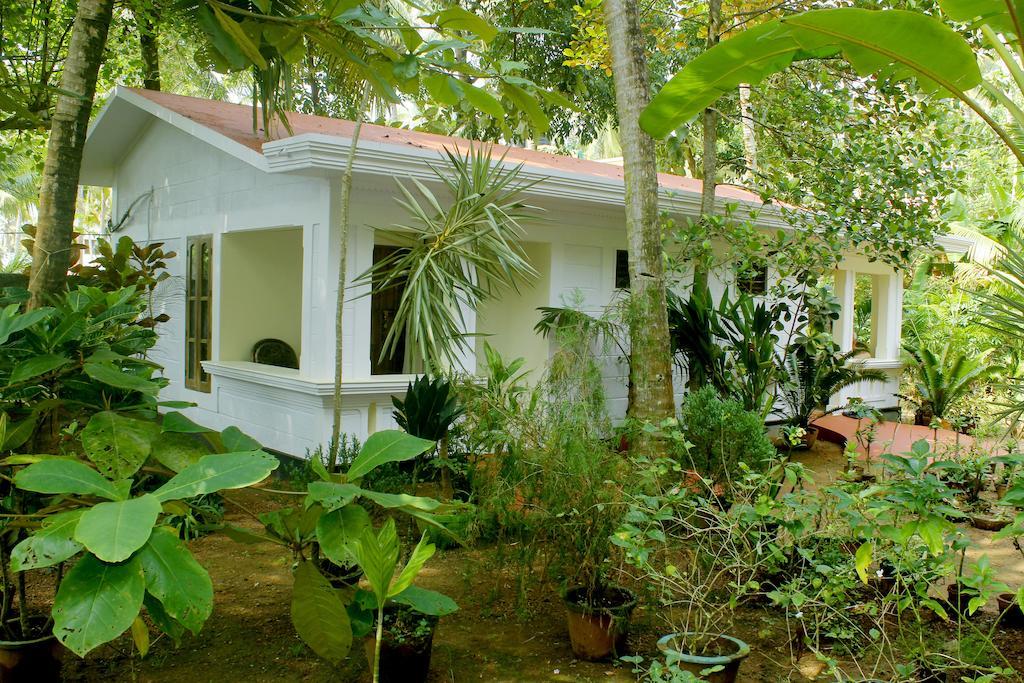 Jickys Nest Hotel Varkala Phòng bức ảnh