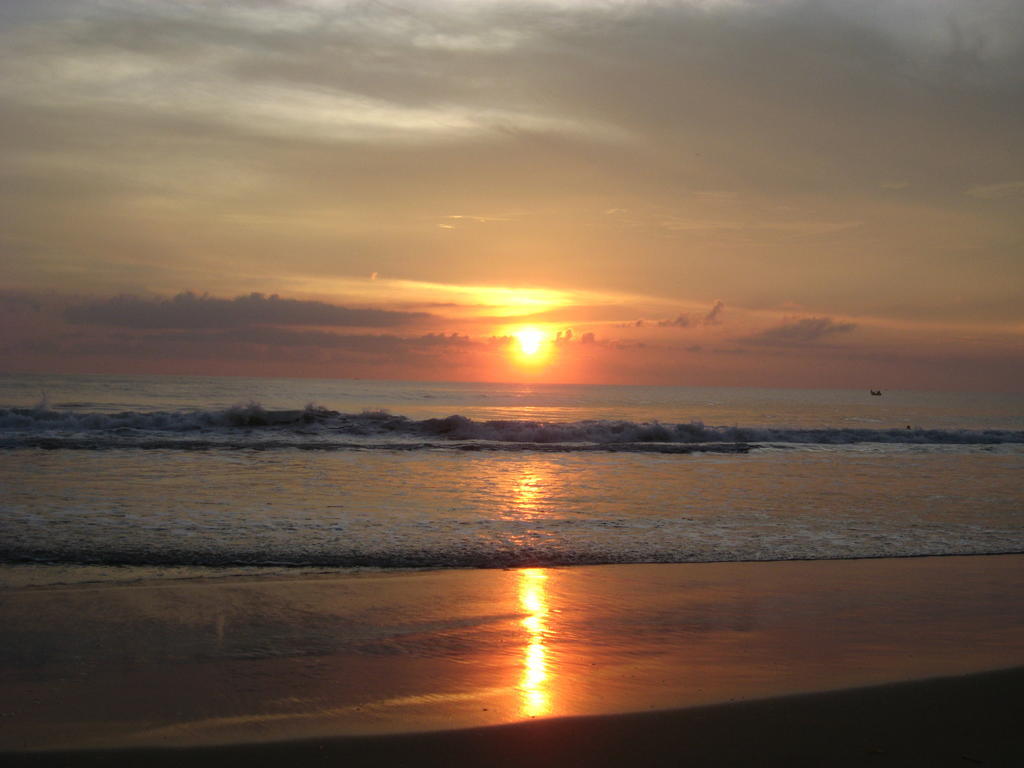 Jickys Nest Hotel Varkala Ngoại thất bức ảnh